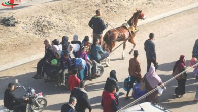 היום ה-49 ל"סערת אלאקצא". תחילתה של הפסקת אש בת 4 ימים בעזה / חזרה מאסיבית של פלסטינים לצפון עזה