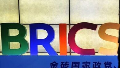 מומחה סיני: BRICS יכול לשחק תפקיד חשוב בהפעלת לחץ על אמריקה