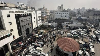 גרמניה והולנד דרשו את עמידתה של ישראל בחוקים הבינלאומיים