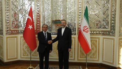 הדגש של איראן וטורקיה על סינרגיה בין שתי המדינות בנושאי הקווקז