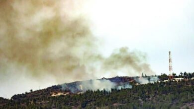 המשך פעולות ההתנגדות הלבנוניות כוונו למרכזים צבאיים ישראלים/2 בסיסים ציוניים