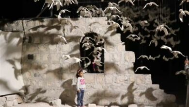 תערוכת אמנות מרובעת אל-חטב בסוריה, תערוכת אהבה ומלחמה/דוח בלעדי