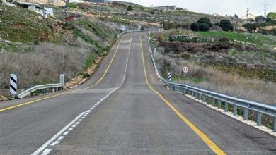 תקשורת עברית: כלבים וזאבים מסתובבים ביישובי הצפון במקום בני אדם