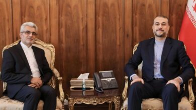 פגישת השגריר החדש של איראן בניז’ר ​​עם אמיר עבדולהיאן