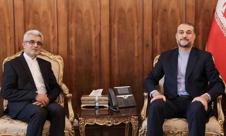 פגישת השגריר החדש של איראן בניז’ר ​​עם אמיר עבדולהיאן