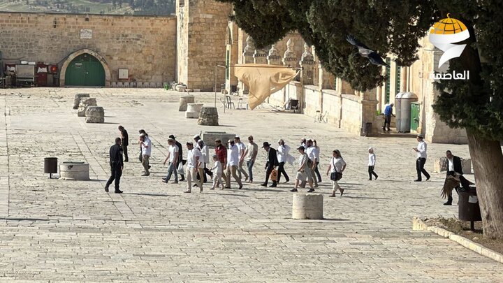 התקפת עשרות מתנחלים ציונים במסגד אל-אקצא ביום האחרון של פסח + סרט