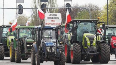 מחאה מאסיבית של חקלאים פולנים נגד יבוא מוצרים אוקראינים + תמונה