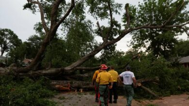 בסערה בטקסס נהרגו לפחות 7 בני אדם
