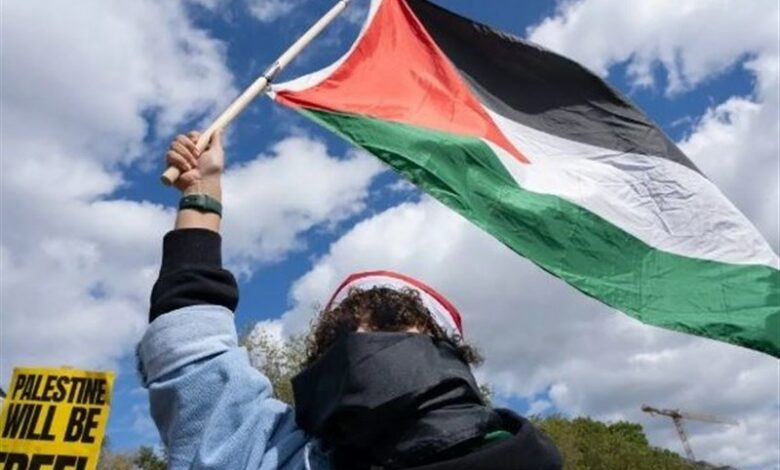 המשך ההפגנות באמריקה לתמיכה בפלסטין