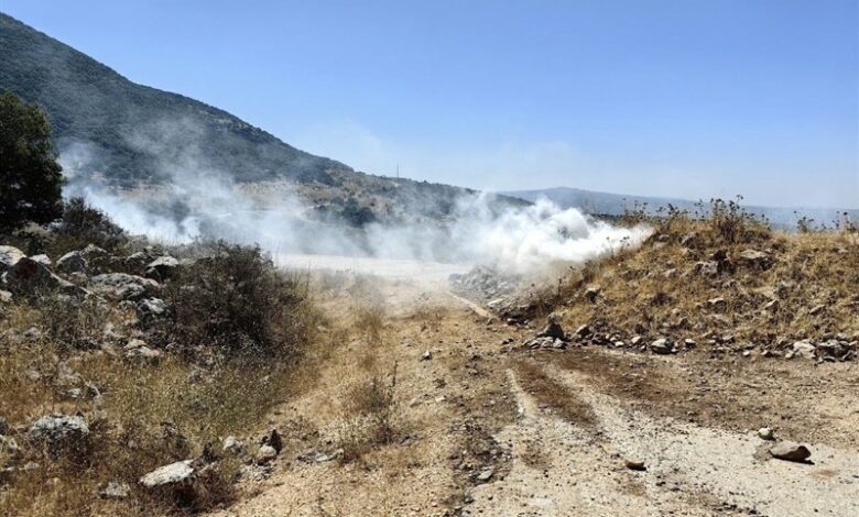 התוכנית החד-צדדית של צרפת להפסקת אש בגבול לבנון והשטחים הכבושים