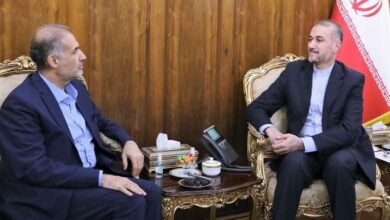 שגריר איראן ברוסיה נפגש עם אמיר עבדולהיאן