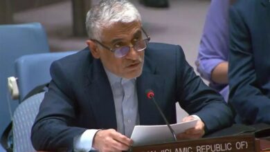 תמיכת איראן בהחלטת העצרת הכללית של האו”ם על פלסטין
