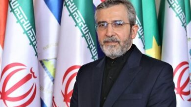 באגרי: איראן היא הקורבן הגדול ביותר של נשק כימי בהיסטוריה המודרנית