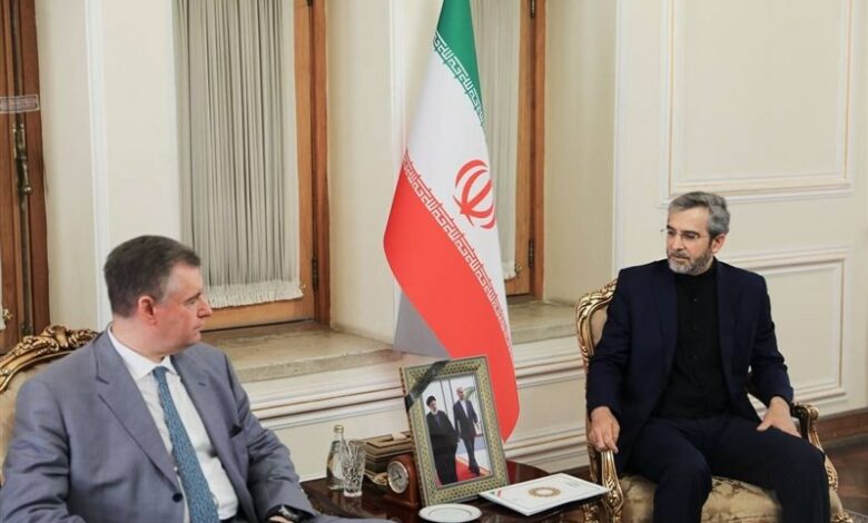 באגרי הדגיש את האחריות המשותפת של איראן ורוסיה בביסוס היציבות