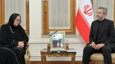באגרי: הקשר העמוק בין תושבי איראן ובוסניה הוא עובדה שאין להכחישה