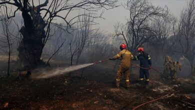 דיווח על 66 שריפות יער ב-24 השעות האחרונות ביוון ומעצרם של 13 בני אדם