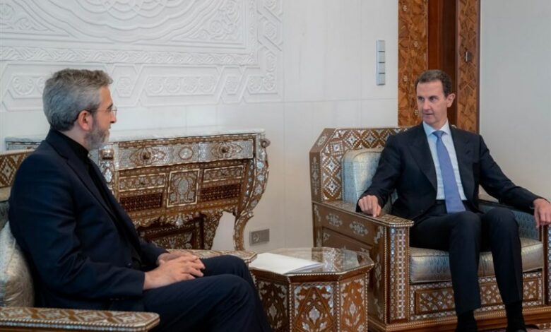 הפגישה של באגרי עם אסד; הדגשת האופי האסטרטגי של יחסי סוריה-איראן