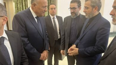התייעצות של “עלי באגרי” עם שר החוץ המצרי