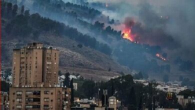 פחד מ”ריזבן”; מדוע הציפור לא עפה ביישובי הצפון הכבושים?