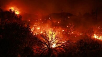 שריפה איומה בקליפורניה ופינוי של אלף איש