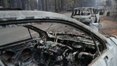 שריפת יער בניו מקסיקו עם 2 קורבנות/8000 אנשים פונו