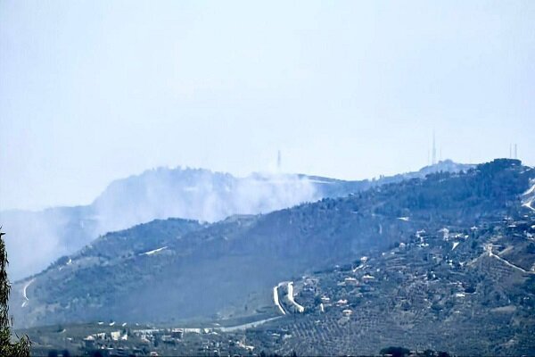 התקפות חיזבאללה על עמדות המשטר הציוני