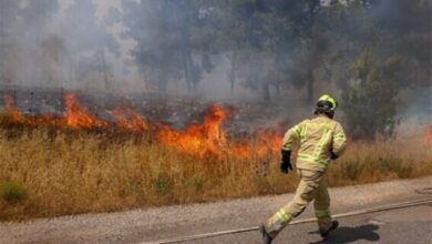 טרור בגולן/ראש עיריית חיפה: חיזבאללה משמיד אותנו