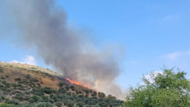 תקשורת עברית: חיזבאללה הצית את פלסטין הכבושה