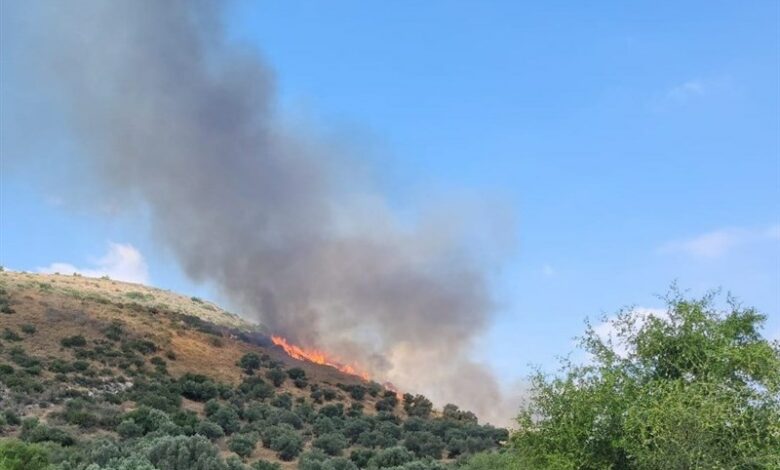 תקשורת עברית: חיזבאללה הצית את פלסטין הכבושה