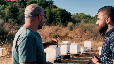 התנגדות עממית וחברתית בנוסח תושבי דרום לבנון