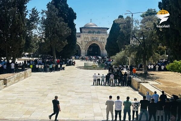 נוכחות של 50,000 מתפללים פלסטינים במסגד אל-אקצא + וידאו