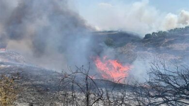 תקשורת עברית: המלחמה הנחיתה מכה אנושה במגזר החקלאי בישראל