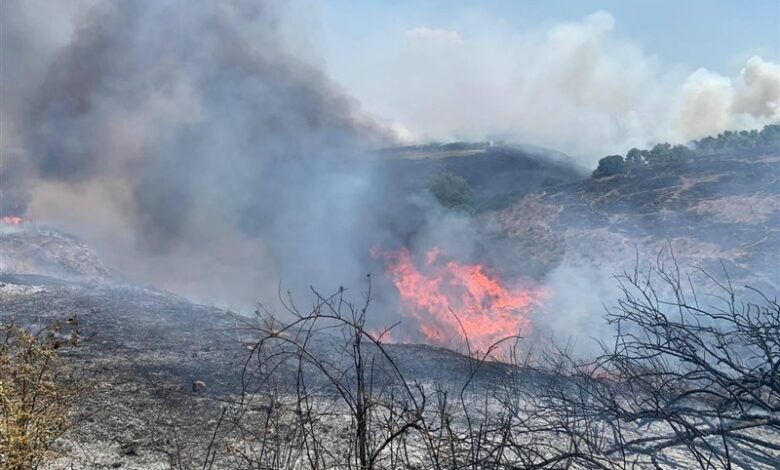 תקשורת עברית: המלחמה הנחיתה מכה אנושה במגזר החקלאי בישראל