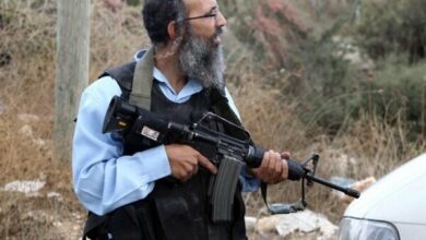 מתיישבים ציוניים גנבו 150 ראשי צאן בגדה המערבית /הגדה המערבית , מתיישבים , פלסטינים , רמאללה , ג'נין